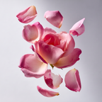 Chien Chic de Paris - Parfum Floral